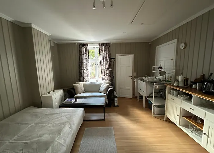 Studio-Apartment Central In Horten